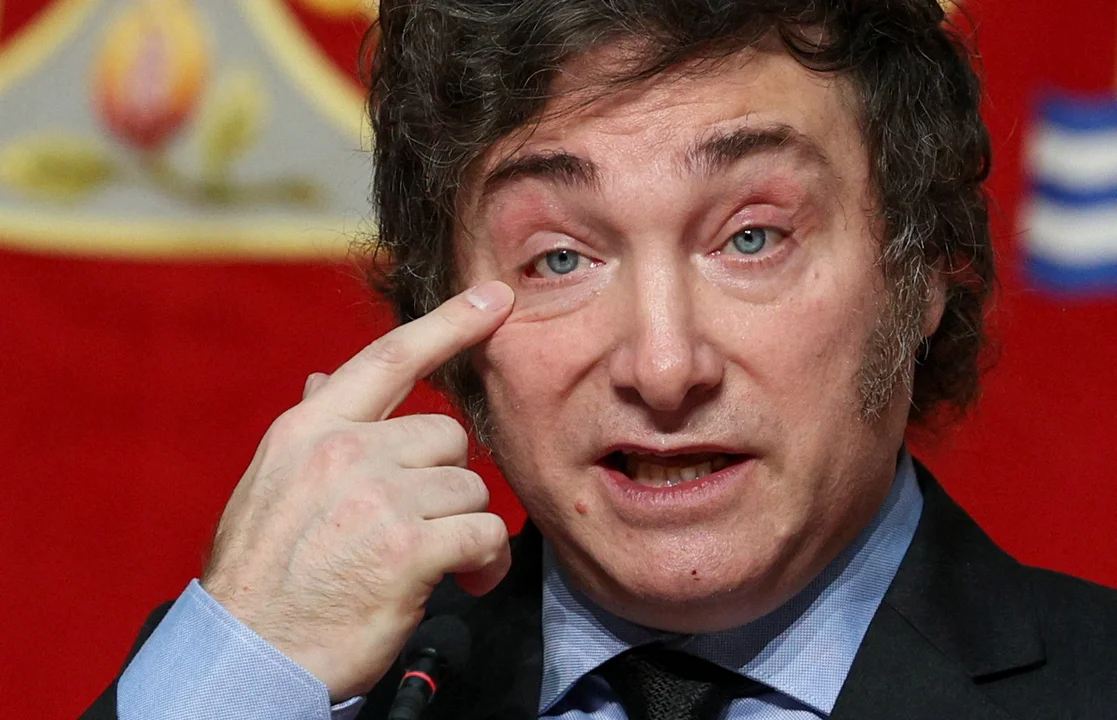 Milei: “Después del año 2031, no me ven más el pelo”