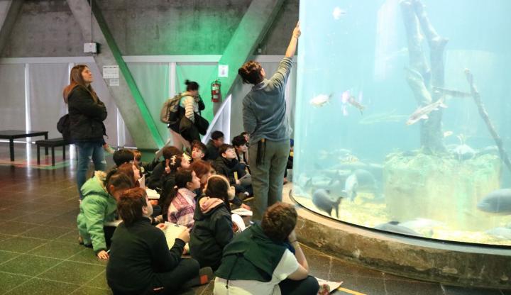 El Acuario del Río Paraná inscribe para visitas educativas