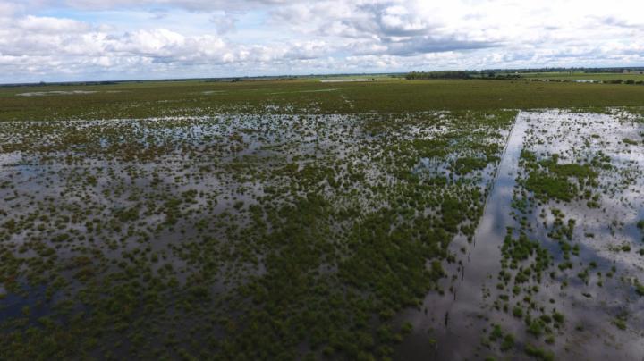 Declaran zona de desastre agropecuario a explotaciones del norte