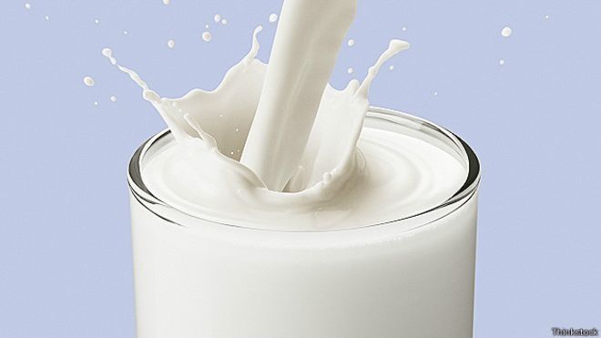 La Anmat prohibió la venta de una leche en polvo