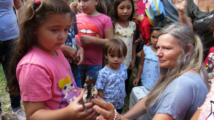 Nacieron nuevos yacarés en la Granja La Esmeralda