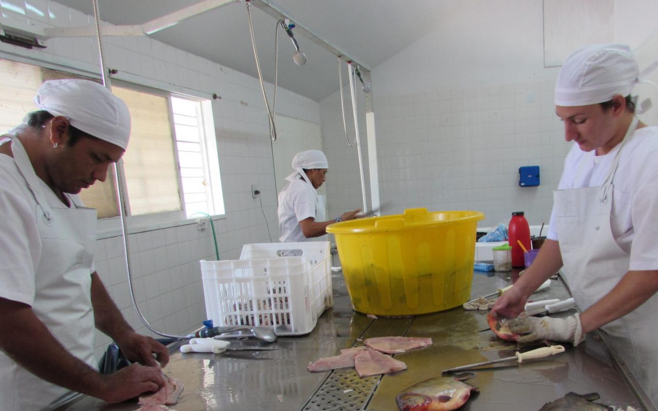 Capacitan para el procesamiento del pescado en San Javier