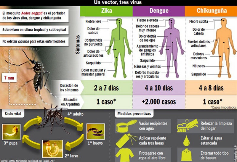 “El 2016 será el año con más casos de dengue de la historia”
