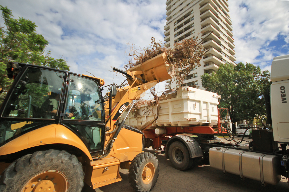 El municipio ya levantó 8 mil toneladas de árboles y ramas