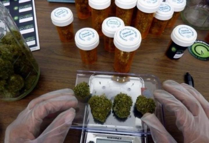 Advierten que circulan aceites de cannabis fradulentos 