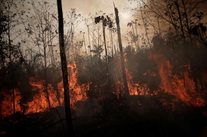 200 argentinos darán batalla en la Amazonia