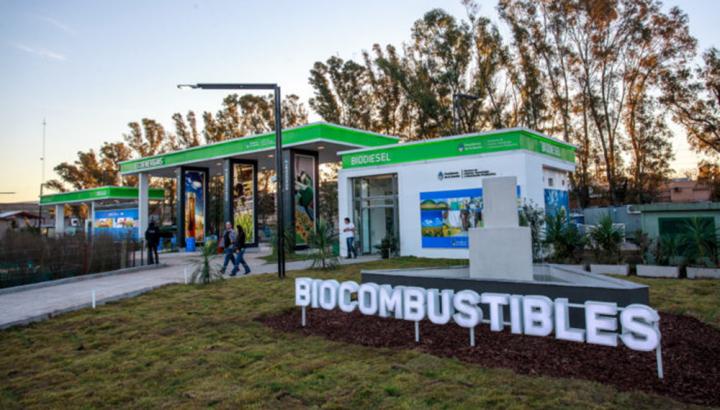Suspenden 300 trabajadores de empresas de biodiésel