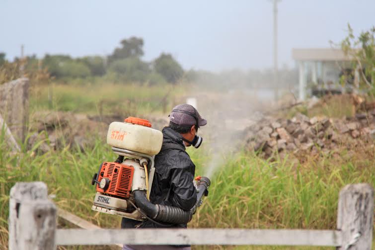 El municipio intensifica las fumigaciones en la capital