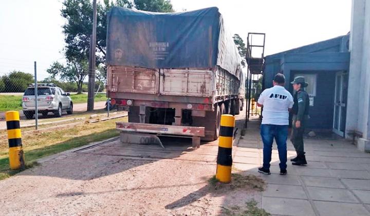 Decomisan 4,5 toneladas de soja sin declarar