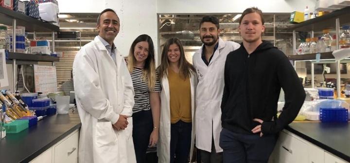 Crean un método para detectar el coronavirus en apenas 60 minutos