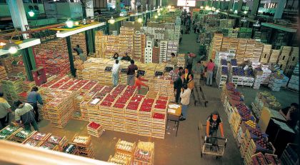 Acuerdan precios mayoristas sugeridos para frutas y verduras