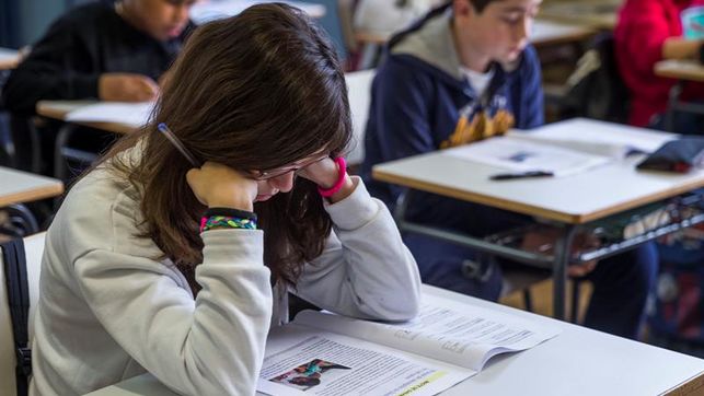 Los alumnos que repitieron podrán rendir en junio