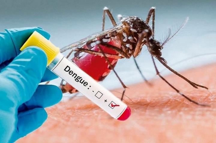 Dengue en Santa Fe: siguen aumentando los casos