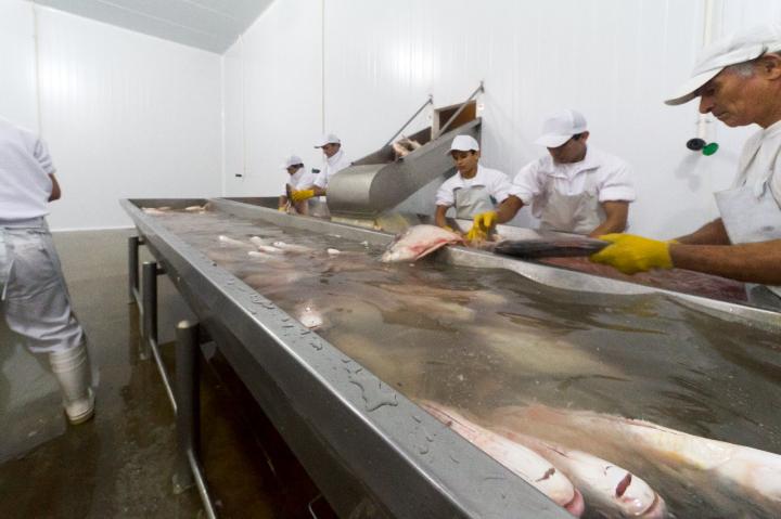 “La veda pesquera solo beneficiará a Entre Ríos y Buenos Aires” 