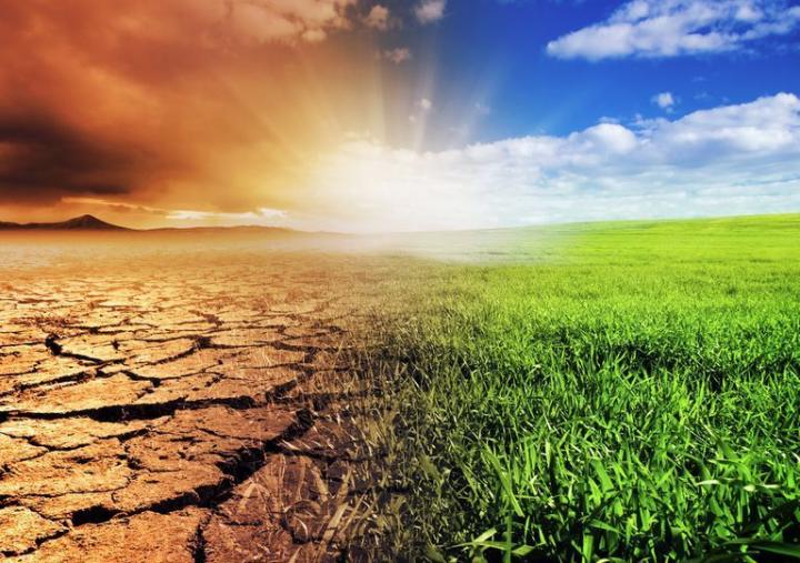 Quiénes ganaron el Concurso “Más Clima” 