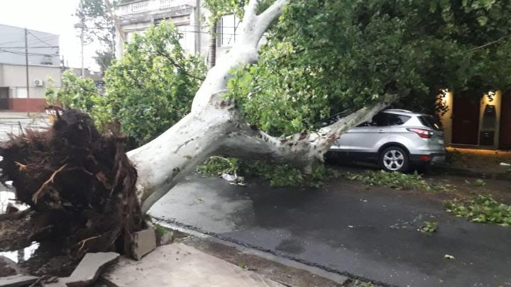 La tormenta causó graves destrozos en la ciudad de Santa Fe