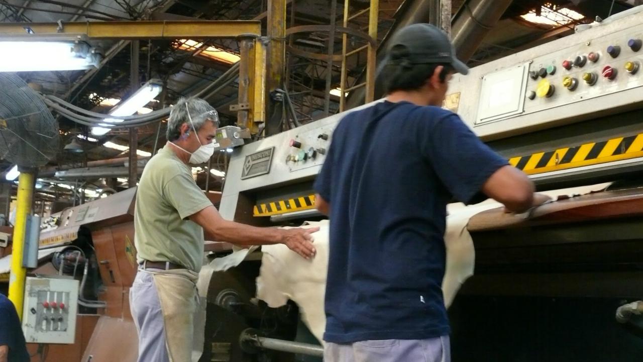 Nexo Empleo: todos los días piden un trabajo