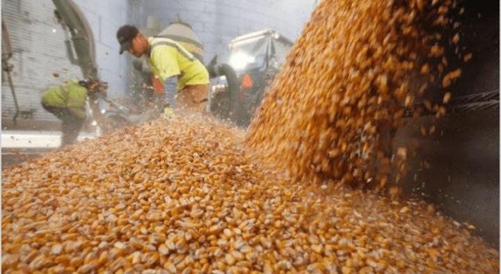 Lockout agrario al gobierno