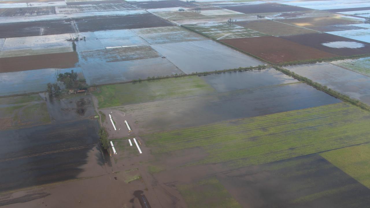 Santa Fe: el 80 % de la zona tambera está bajo agua