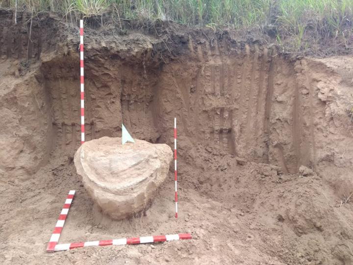 Encuentran antiguos restos fósiles en Santa Fe