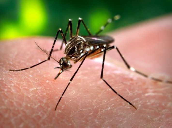 No tenía covid pero sí dengue