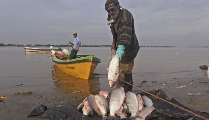 Prohíben la pesca comercial en Santa Fe