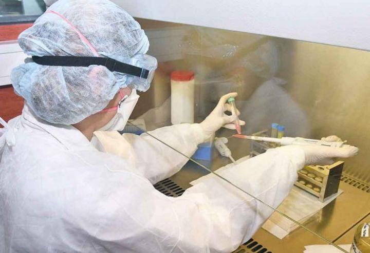 Domingo con bajos contagios: 806 en la provincia