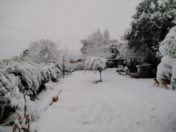 Nieve Santa María Punilla.