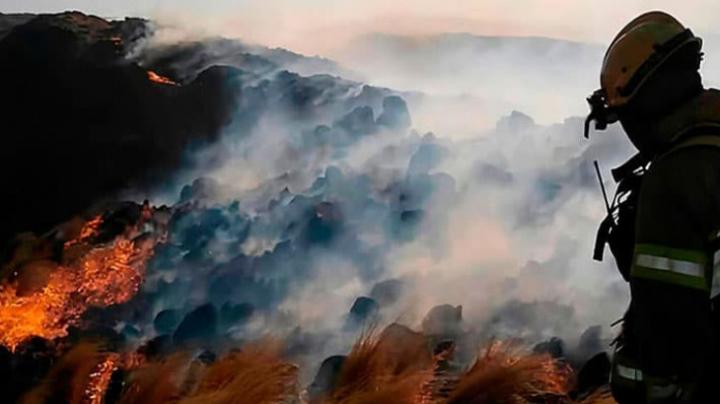 Se quemó el 58% de la geografía serrana en Córdoba