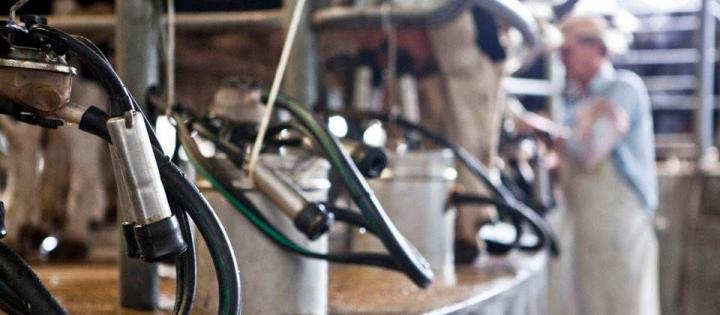 La paritaria láctea se cerró con aumento del 50% 