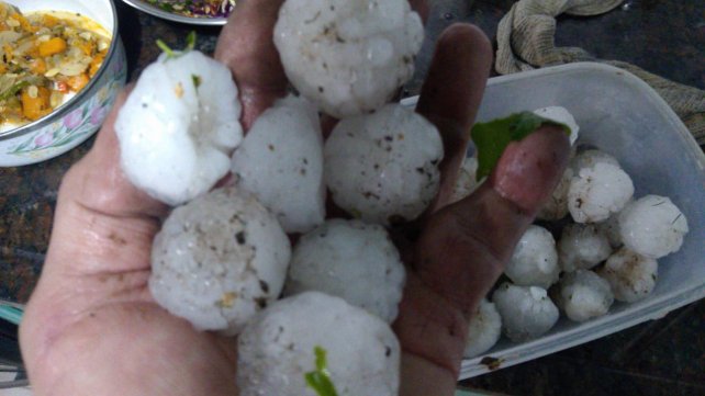 $ 10 millones para productores afectados por el granizo