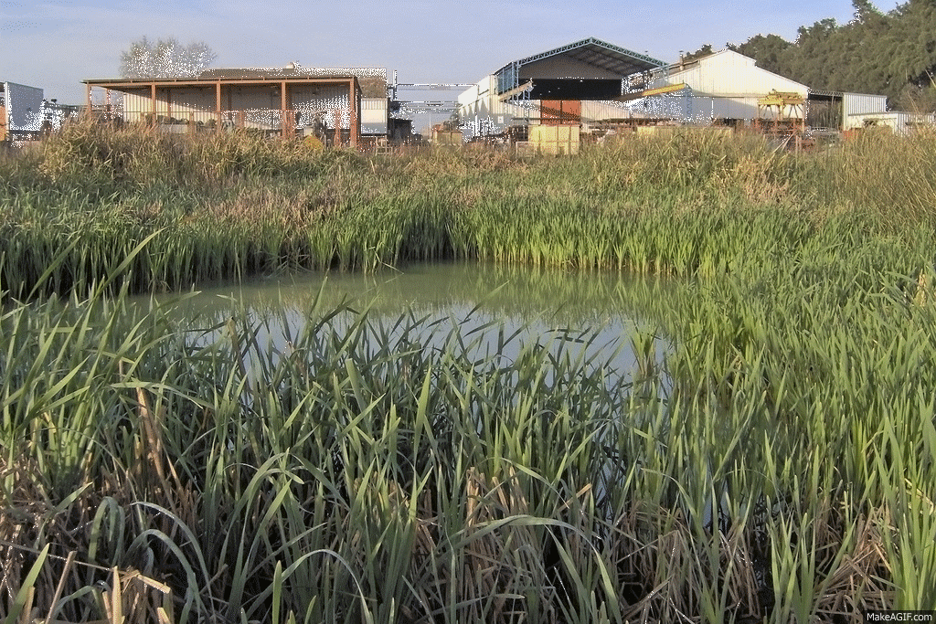 Conferencia Panamericana de Sistema de Humedales