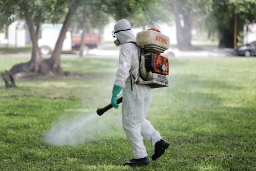 Primer caso de dengue del año en la ciudad de Santa Fe