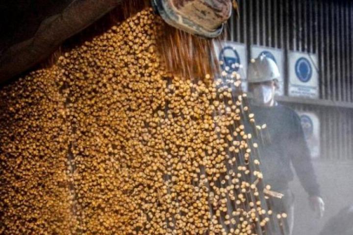 Contrabando millonario de granos a Bolivia y Paraguay