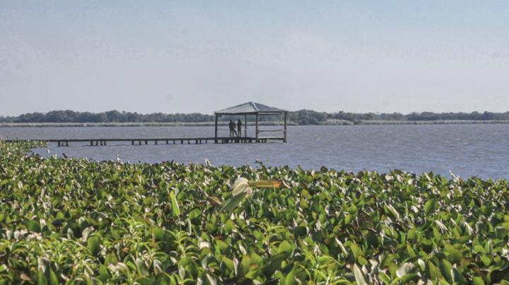 Aconsejan no bañarse, pescar ni consumir agua del río Pilcomayo