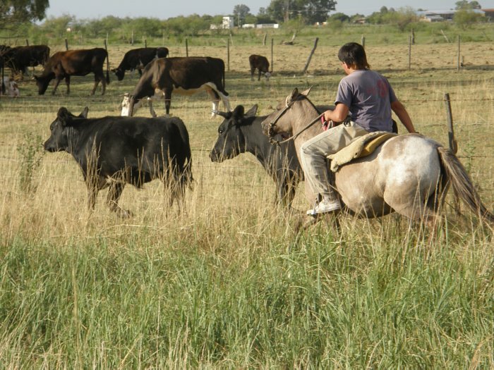 Los trabajadores rurales tendrán un aumento del 70%.