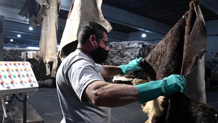 Leve recuperación del empleo desde fines del 2020