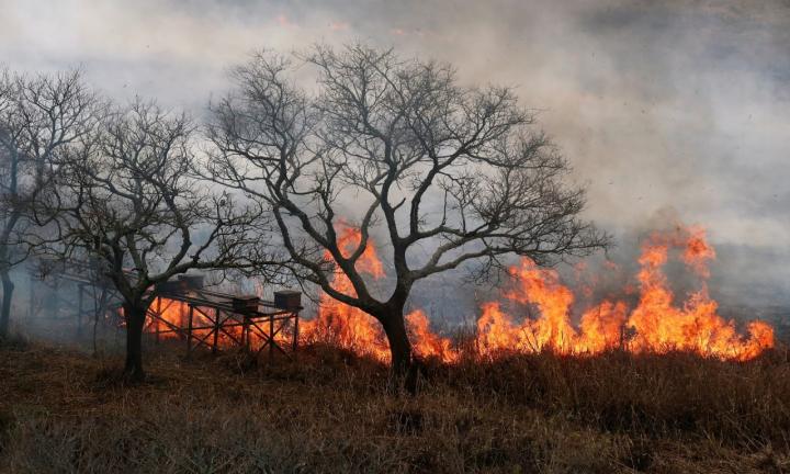 Incendios forestales en Santa Fe: Nación envía $424 millones