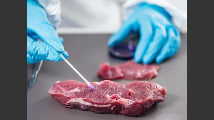 En Santa Fe no hay casos de Salmonella o Shigella