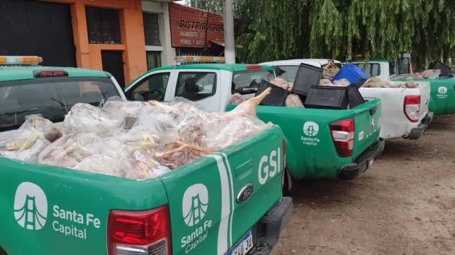 Decomisan otras 6 toneladas de carne podrida en Santa Fe