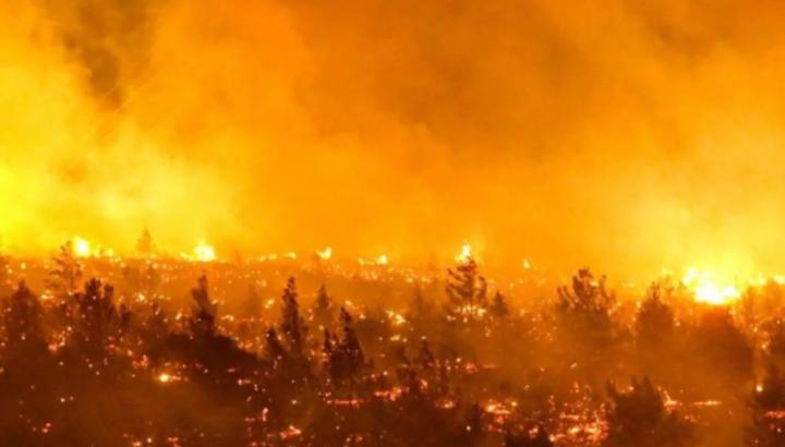 Argentina envió ayuda a Chile para combatir incendios
