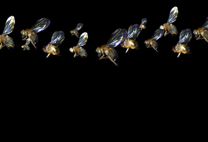 UNL lanza el concurso “Ciencia en Fotos”