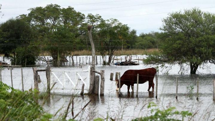 Las lluvias trajeron esperanza a productores de Santa Fe