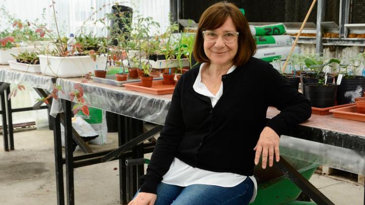 Una investigadora de la UNL recibió el Premio Konex Platino