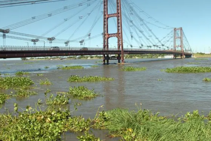 El río Paraná llegó al nivel de alerta en la ciudad de Santa Fe