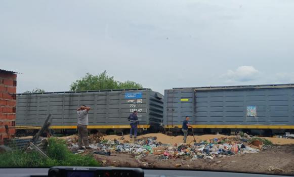 Descarriló un tren en Santa Fe y se robaron maíz y soja