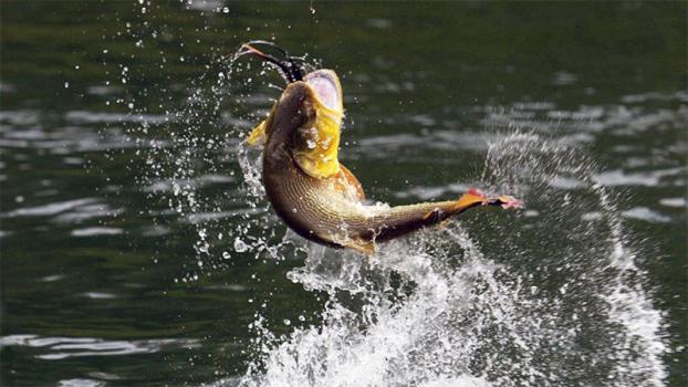 Prohibieron la pesca en Corrientes