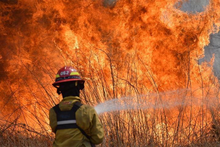 Parques Nacionales a la deriva: echan a 246 trabajadores