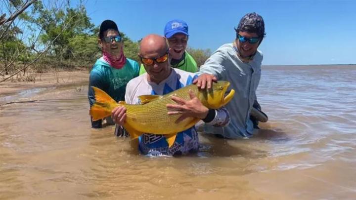 Pescan un dorado de gran tamaño en el río Paraná