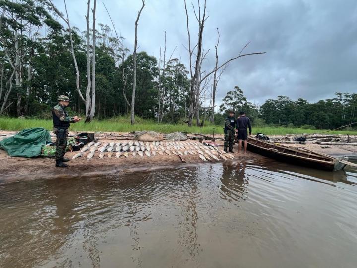 Secuestraron 300 kilos de pescado en Corrientes